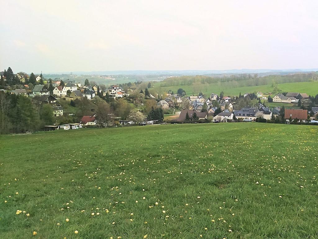 Apartment With Views Of The Ore Mountains Oelsnitz  Zewnętrze zdjęcie